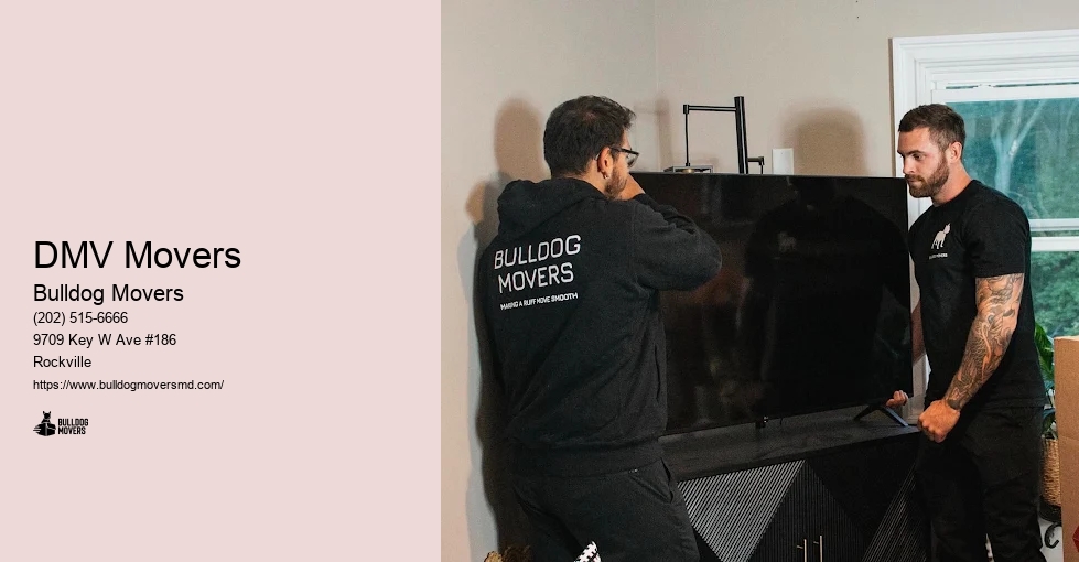 DMV Movers